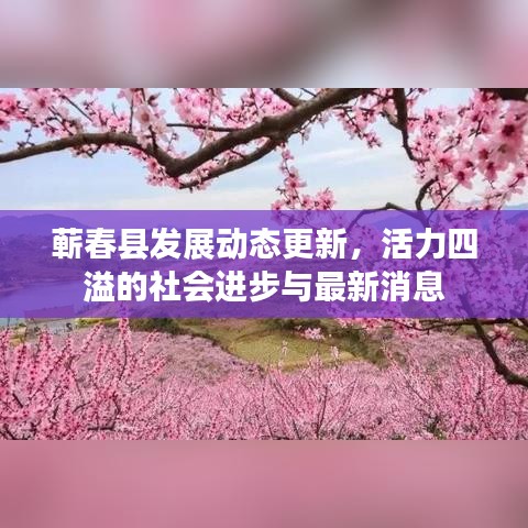 蕲春县发展动态更新，活力四溢的社会进步与最新消息