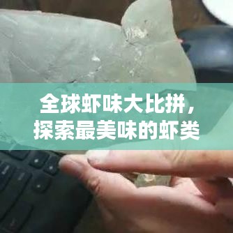 全球虾味大比拼，探索最美味的虾类排名！