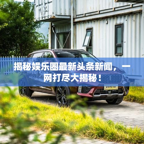 揭秘娱乐圈最新头条新闻，一网打尽大揭秘！