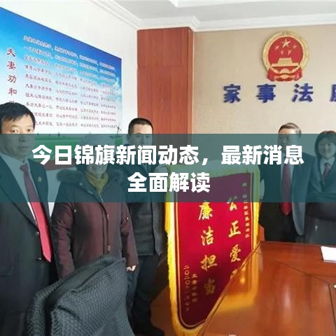 今日锦旗新闻动态，最新消息全面解读
