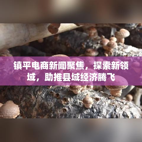 镇平电商新闻聚焦，探索新领域，助推县域经济腾飞