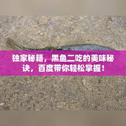 独家秘籍，黑鱼二吃的美味秘诀，百度带你轻松掌握！