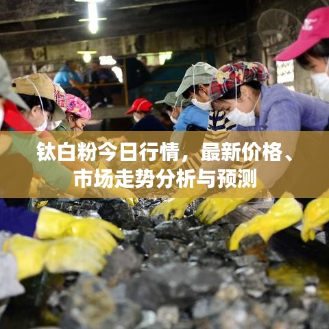 钛白粉今日行情，最新价格、市场走势分析与预测