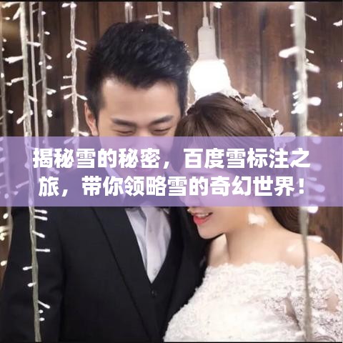 揭秘雪的秘密，百度雪标注之旅，带你领略雪的奇幻世界！