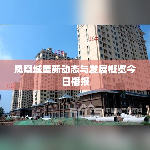 凤凰城最新动态与发展概览今日播报