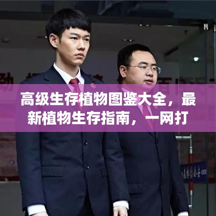 高级生存植物图鉴大全，最新植物生存指南，一网打尽！