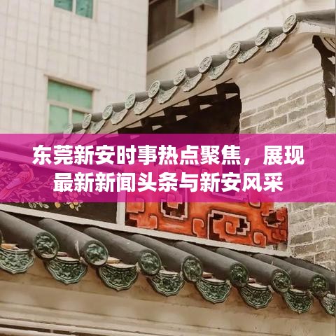 东莞新安时事热点聚焦，展现最新新闻头条与新安风采