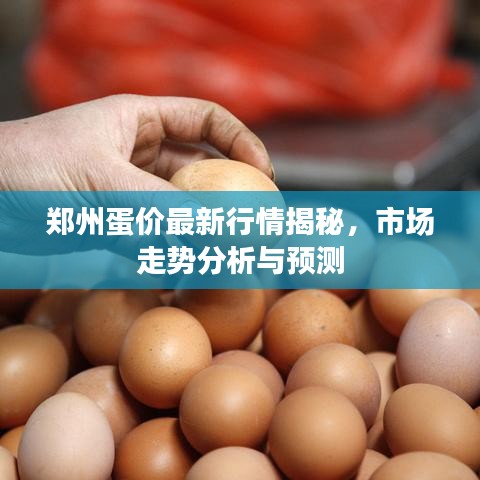 郑州蛋价最新行情揭秘，市场走势分析与预测