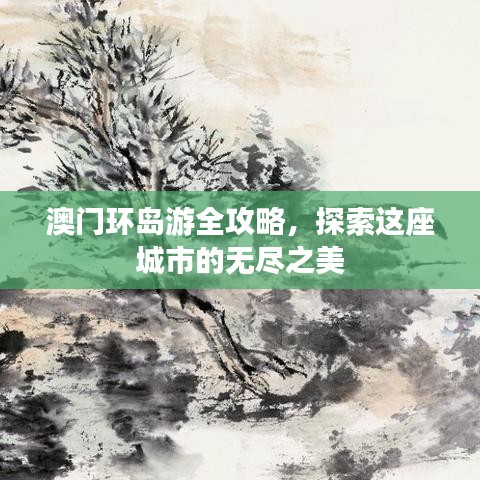 澳门环岛游全攻略，探索这座城市的无尽之美