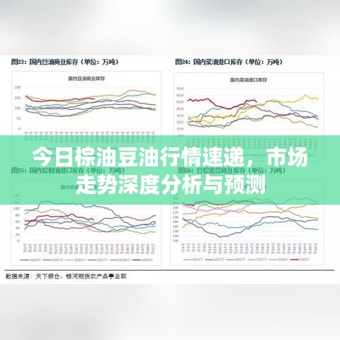 今日棕油豆油行情速递，市场走势深度分析与预测