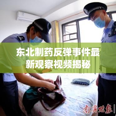 东北制药反弹事件最新观察视频揭秘