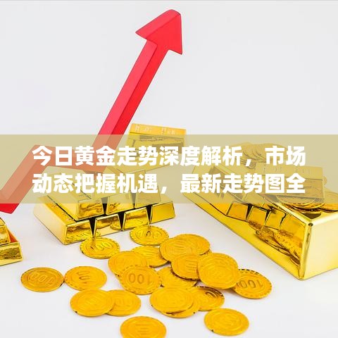 今日黄金走势深度解析，市场动态把握机遇，最新走势图全掌握