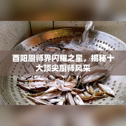 酉阳厨师界闪耀之星，揭秘十大顶尖厨师风采