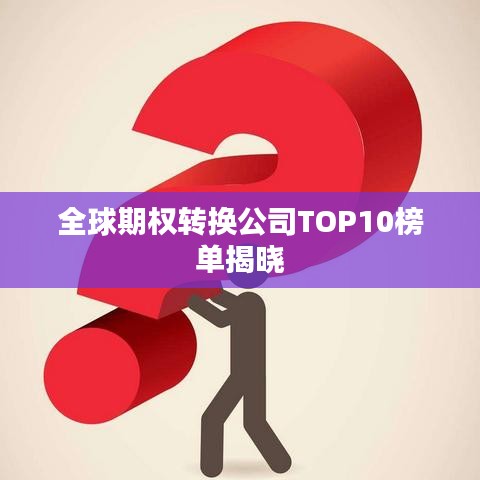 全球期权转换公司TOP10榜单揭晓
