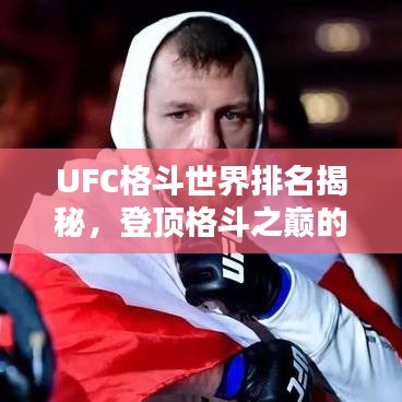 UFC格斗世界排名揭秘，登顶格斗之巅的荣耀之路！
