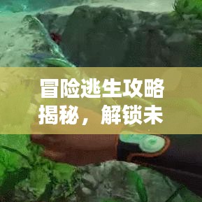2025年5月20日 第5页