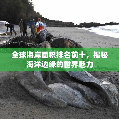 全球海岸面积排名前十，揭秘海洋边缘的世界魅力