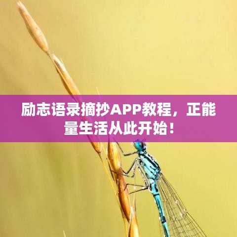 励志语录摘抄APP教程，正能量生活从此开始！