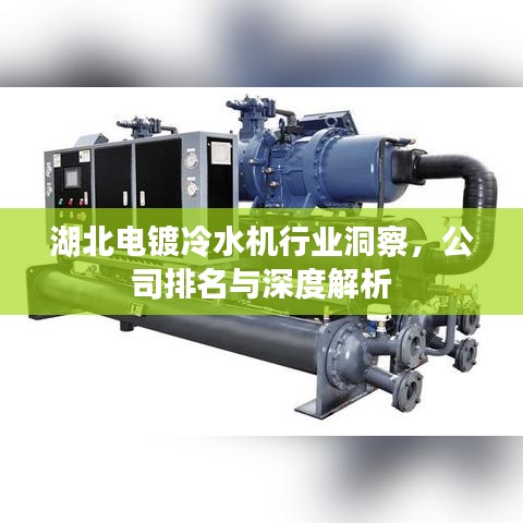 湖北电镀冷水机行业洞察，公司排名与深度解析