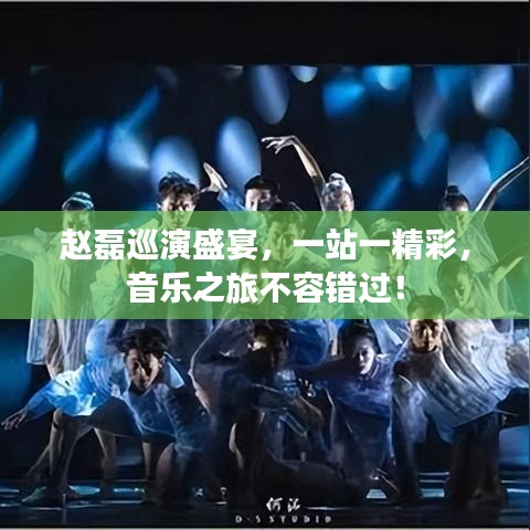 赵磊巡演盛宴，一站一精彩，音乐之旅不容错过！