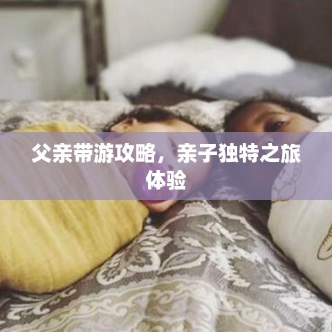 父亲带游攻略，亲子独特之旅体验