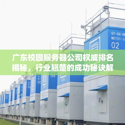 广东校园服务器公司权威排名揭秘，行业翘楚的成功秘诀解读