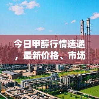 今日甲醇行情速递，最新价格、市场走势深度分析与展望