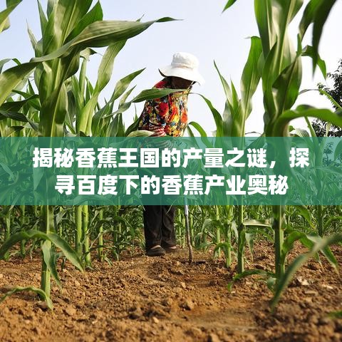 2025年5月23日 第5页