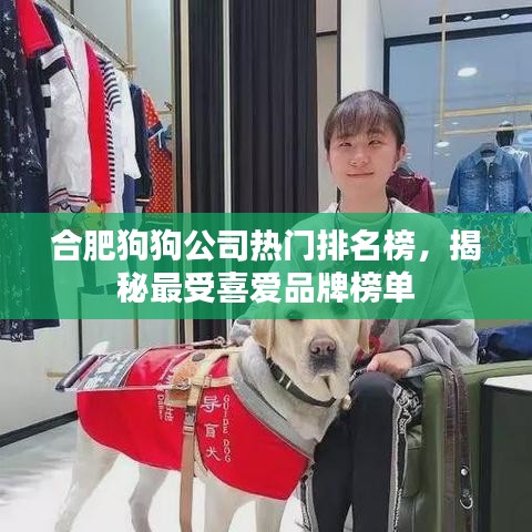 合肥狗狗公司热门排名榜，揭秘最受喜爱品牌榜单