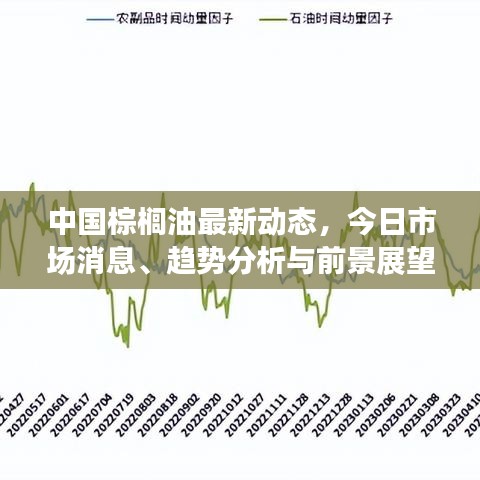 中国棕榈油最新动态，今日市场消息、趋势分析与前景展望