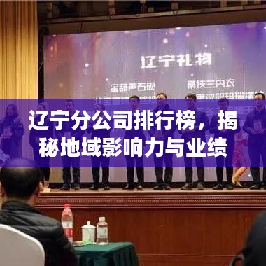 辽宁分公司排行榜，揭秘地域影响力与业绩背后的故事