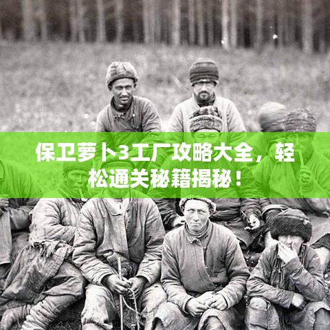 保卫萝卜3工厂攻略大全，轻松通关秘籍揭秘！