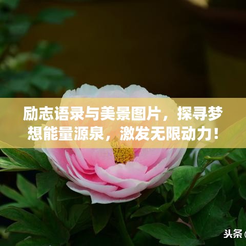 励志语录与美景图片，探寻梦想能量源泉，激发无限动力！