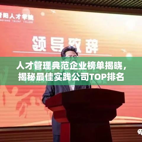 人才管理典范企业榜单揭晓，揭秘最佳实践公司TOP排名