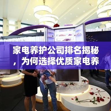 家电养护公司排名揭秘，为何选择优质家电养护公司至关重要