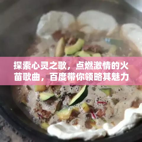 探索心灵之歌，点燃激情的火苗歌曲，百度带你领略其魅力