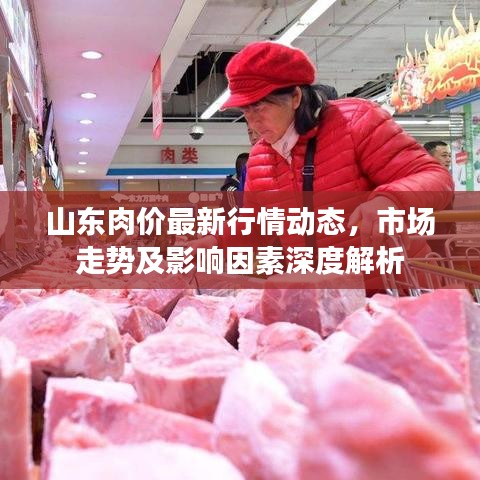 山东肉价最新行情动态，市场走势及影响因素深度解析