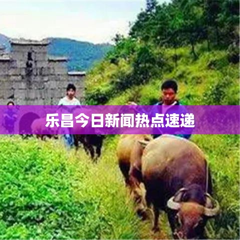 乐昌今日新闻热点速递