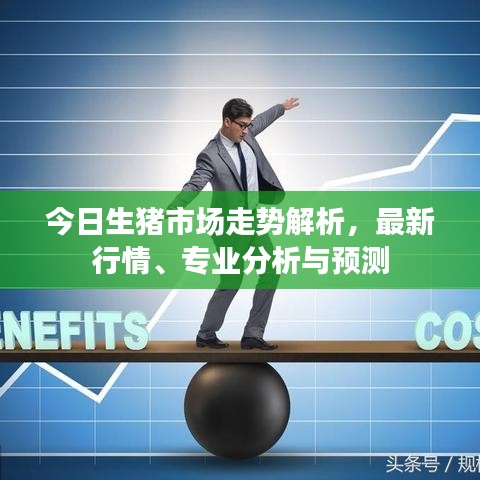 今日生猪市场走势解析，最新行情、专业分析与预测