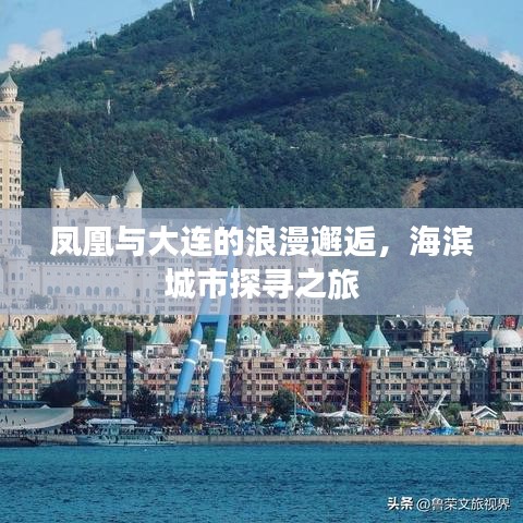 凤凰与大连的浪漫邂逅，海滨城市探寻之旅