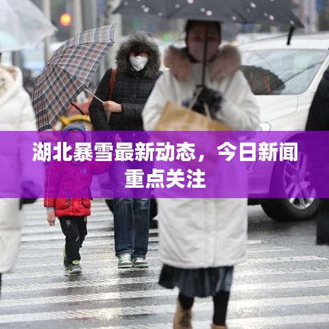 湖北暴雪最新动态，今日新闻重点关注