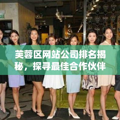 芙蓉区网站公司排名揭秘，探寻最佳合作伙伴，专业展示公司一览无余！