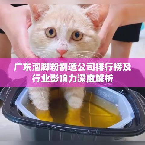 广东泡脚粉制造公司排行榜及行业影响力深度解析