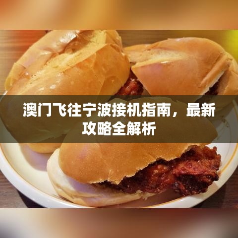 澳门飞往宁波接机指南，最新攻略全解析