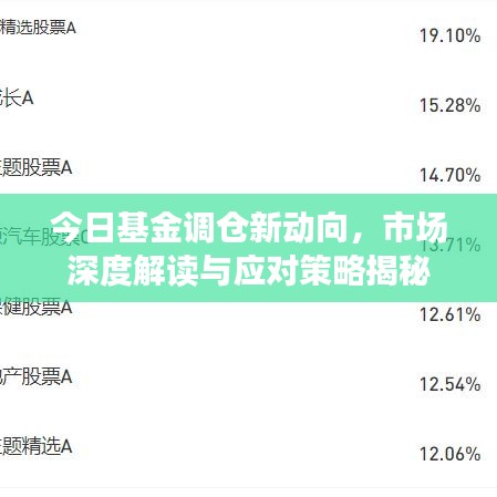 今日基金调仓新动向，市场深度解读与应对策略揭秘
