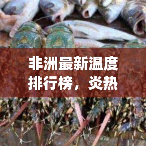 非洲最新温度排行榜，炎热大陆的温度变化探索