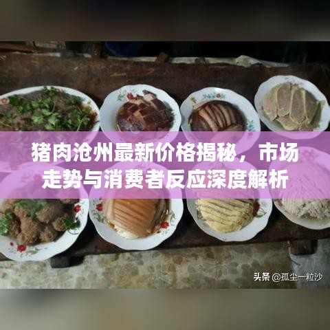猪肉沧州最新价格揭秘，市场走势与消费者反应深度解析