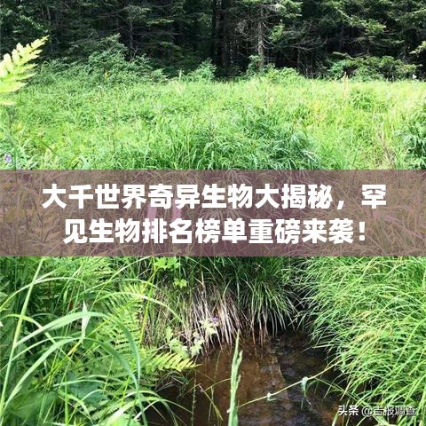 大千世界奇异生物大揭秘，罕见生物排名榜单重磅来袭！