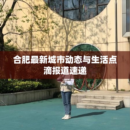 合肥最新城市动态与生活点滴报道速递