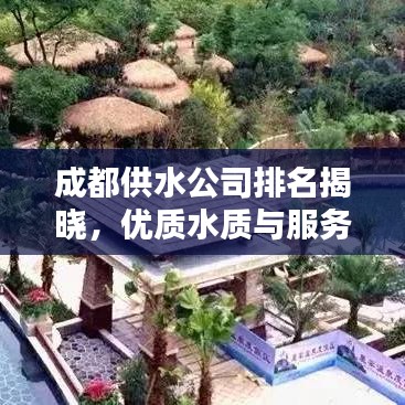 成都供水公司排名揭晓，优质水质与服务质量对比，哪家公司居榜首？